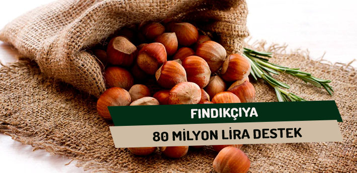 Fındıkçıya 80 Milyon Lira Destek