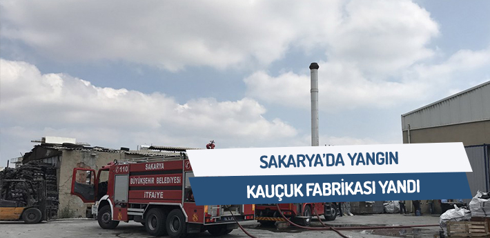 Sakarya'da yangın