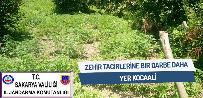 Zehir tacirlerine bir darbe daha