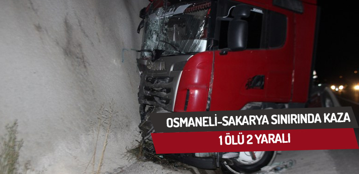 Osmaneli-Sakarya sınırında kaza,1 ölü 2 yaralı