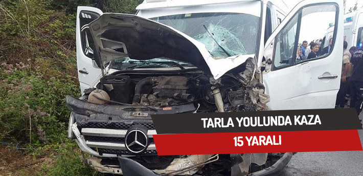 Tarla yolunda kaza,15 yaralı