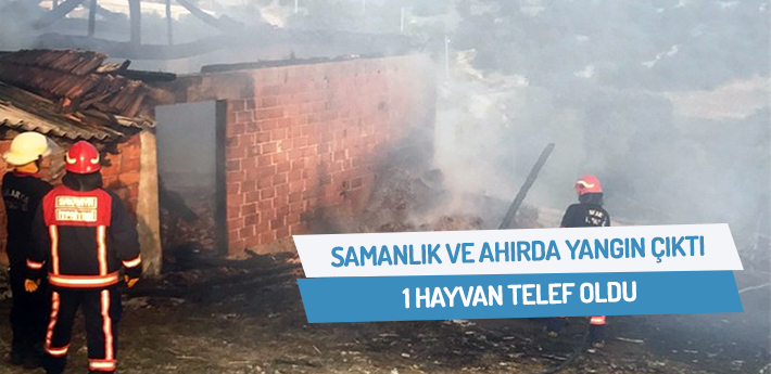 Samanlık ve ahırda çıkan yangında 1 hayvan telef oldu