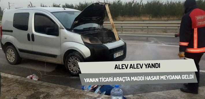 Alev alev yandı