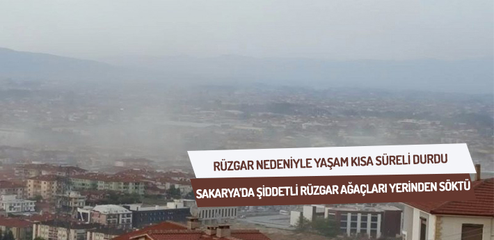 Sakarya’da şiddetli rüzgar ağaçları yerinden söktü.