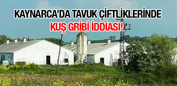 Kaynarca'da korkutan ‘Kuş gribi’ iddiası! 