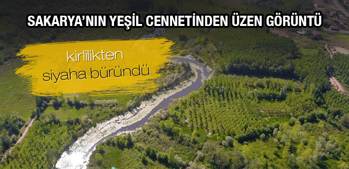 Sakarya'nın yeşil cennetinde üzen görüntü