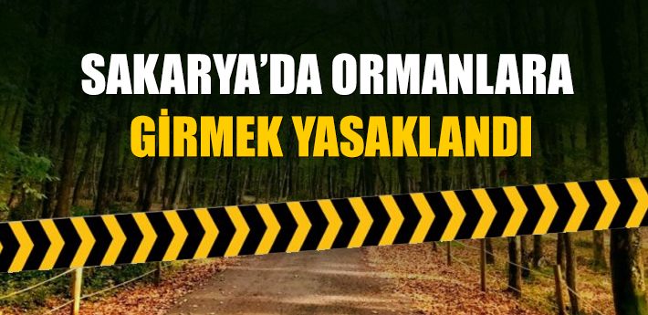 Sakarya'da ormanlara giriş yasaklandı