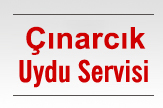 Çınarcık Uydu ve Çanak Anteni Servisi