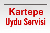 Kartepe Uydu ve Çanak Anteni Servisi