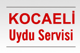 Kocaeli Uydu Anteni Servisi