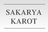 Sakarya Karot