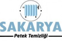 Sakarya Petek Temizliği