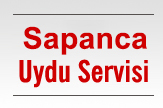 Sapanca Uydu Anteni Servisi