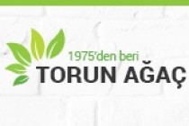 Torun Ağaç Elbise Askısı İmalatı