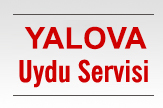 Yalova Uydu Anteni Servisi