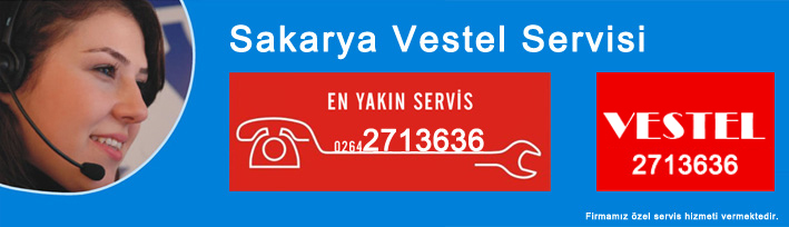 Vestel Servisi